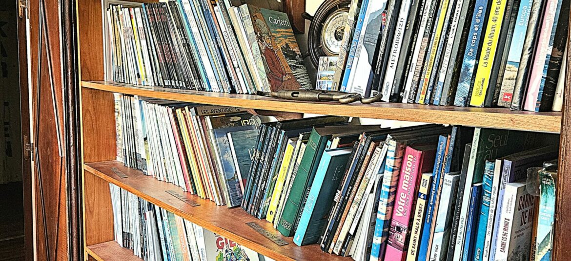 Bibliothèque avec de nombreuse BD sur le thème de le mer.